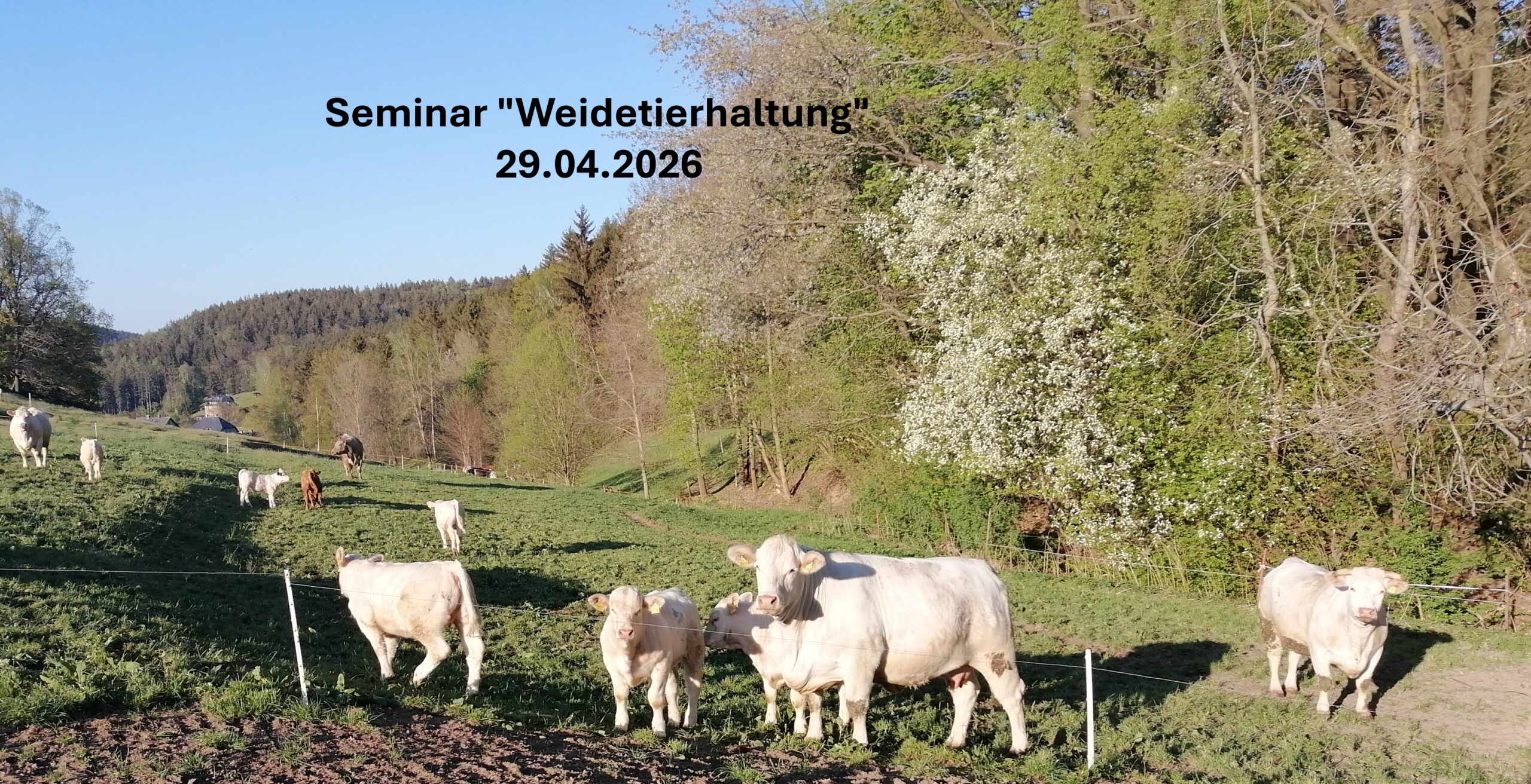 IMG_20200507_1854261